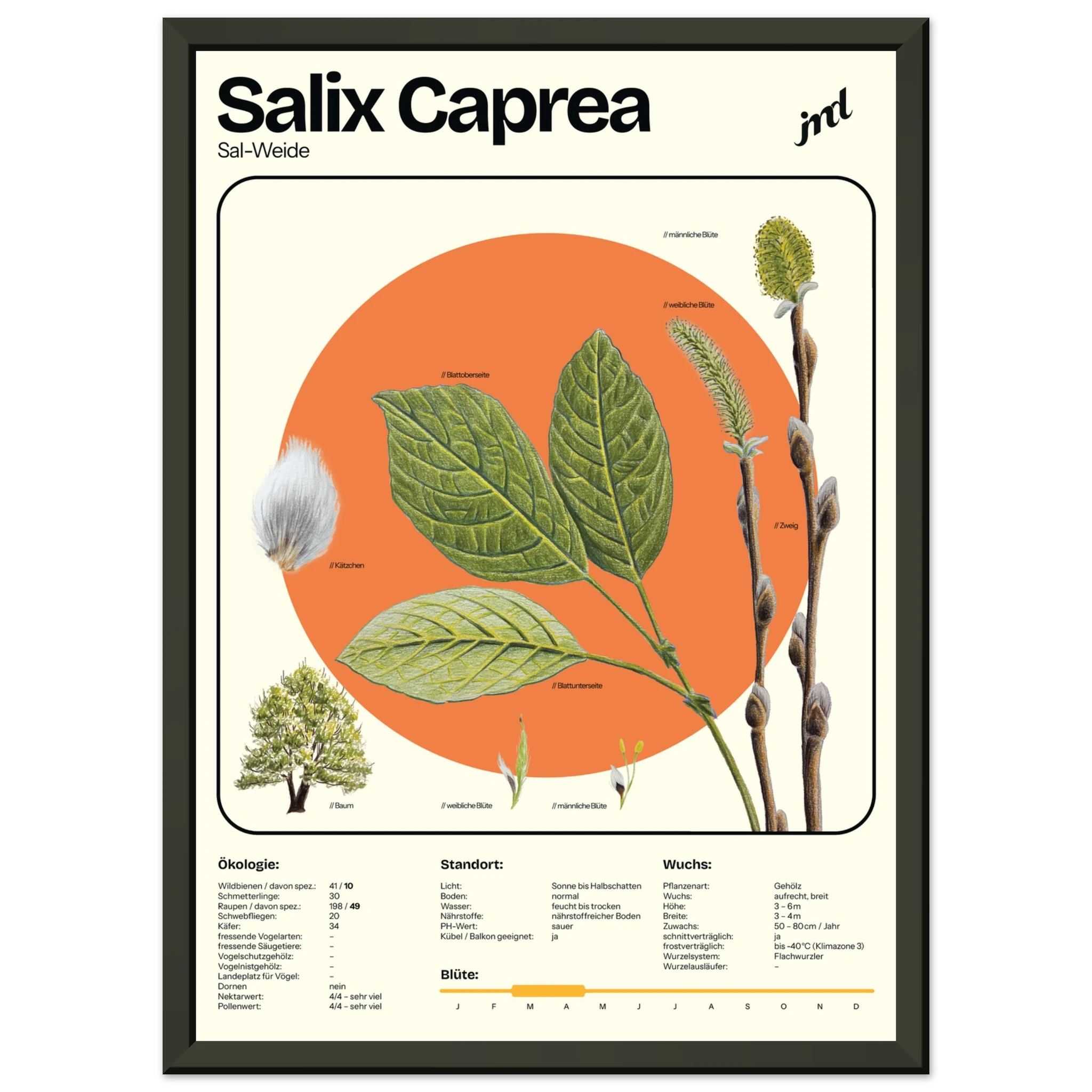 994b6193-0c31-4c60-9ca0-c3394ce4adaf