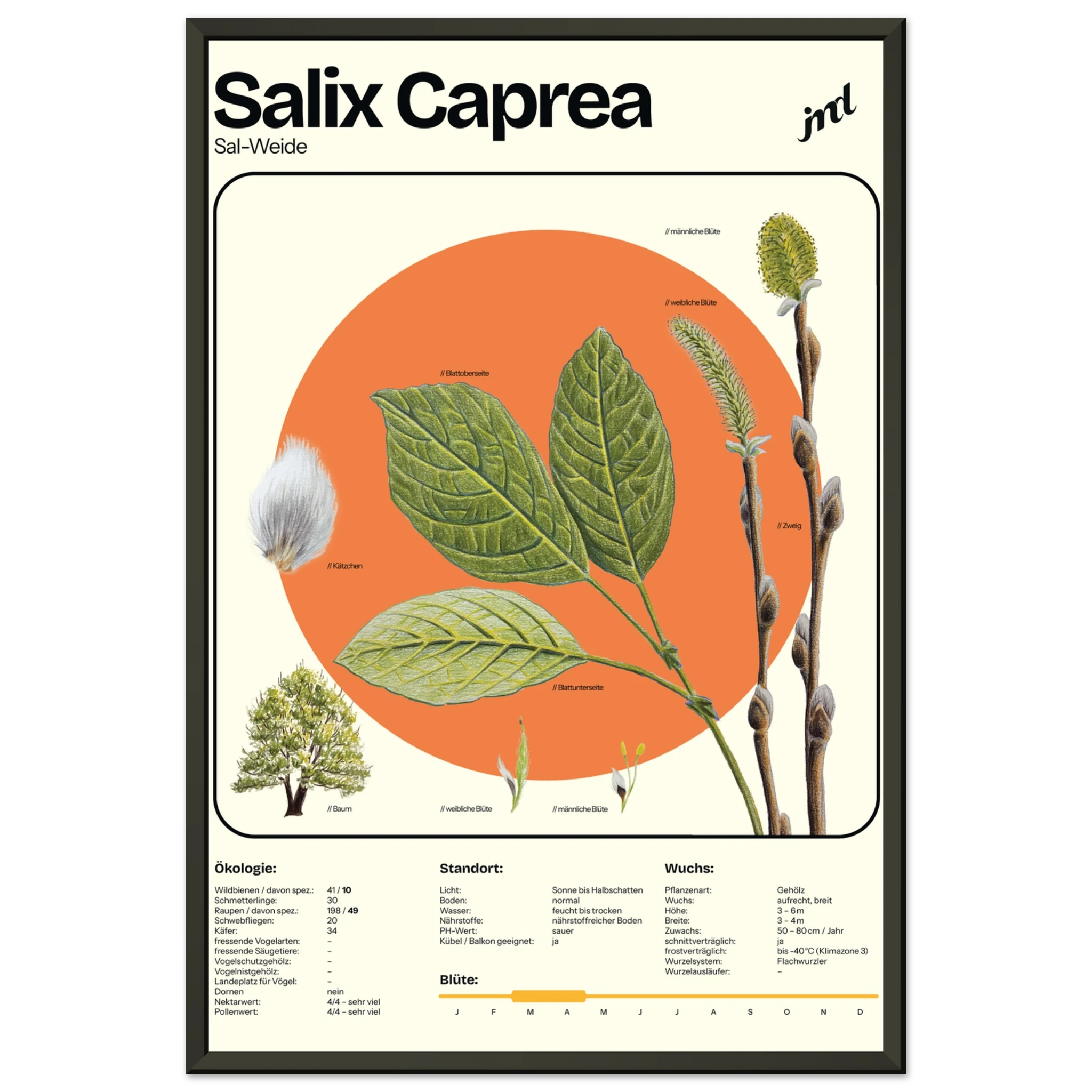 c5471fe0-7135-486c-aee4-3a431d8c107d